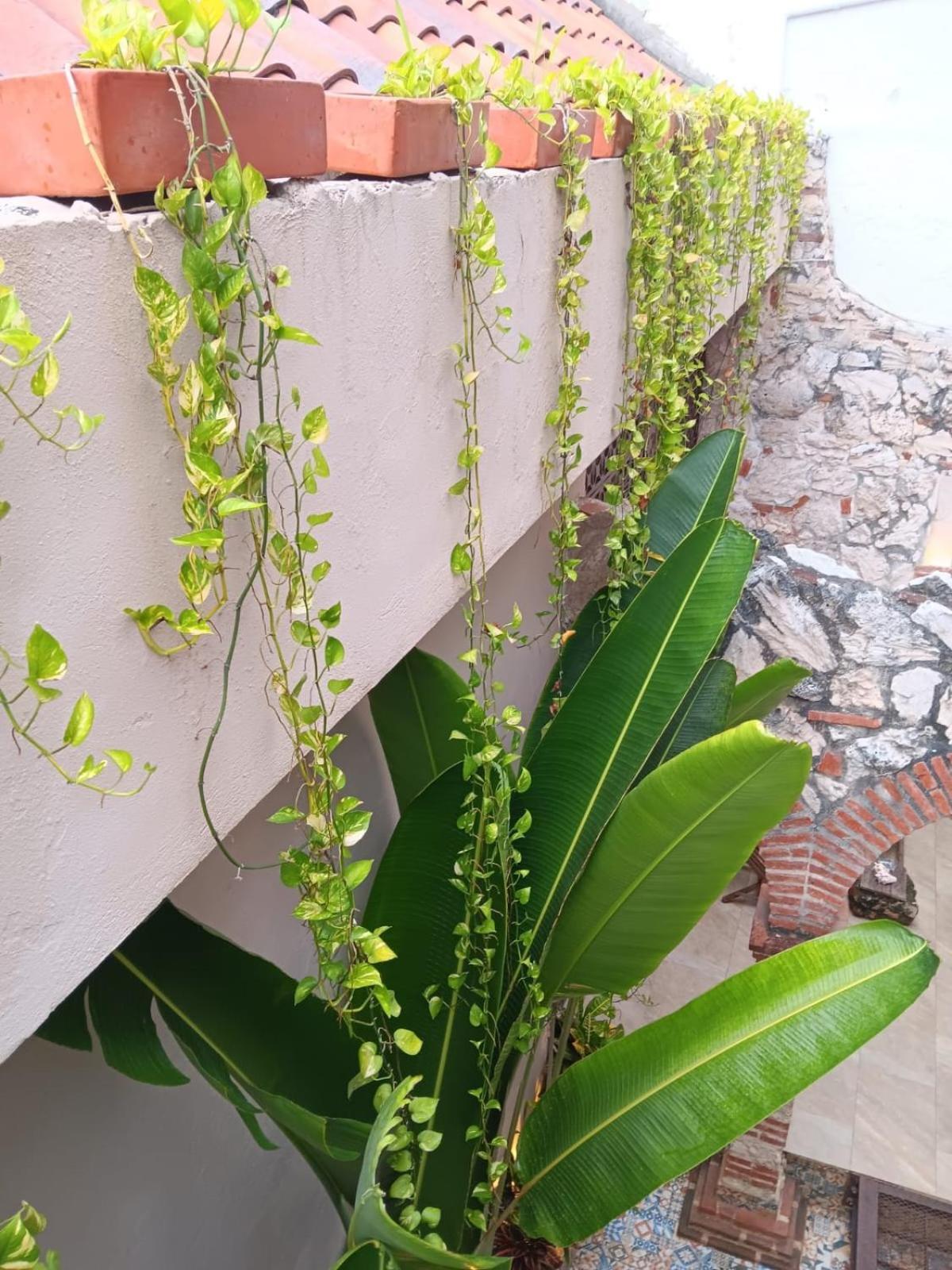 Recien Restaurada En Getsemani Homestay